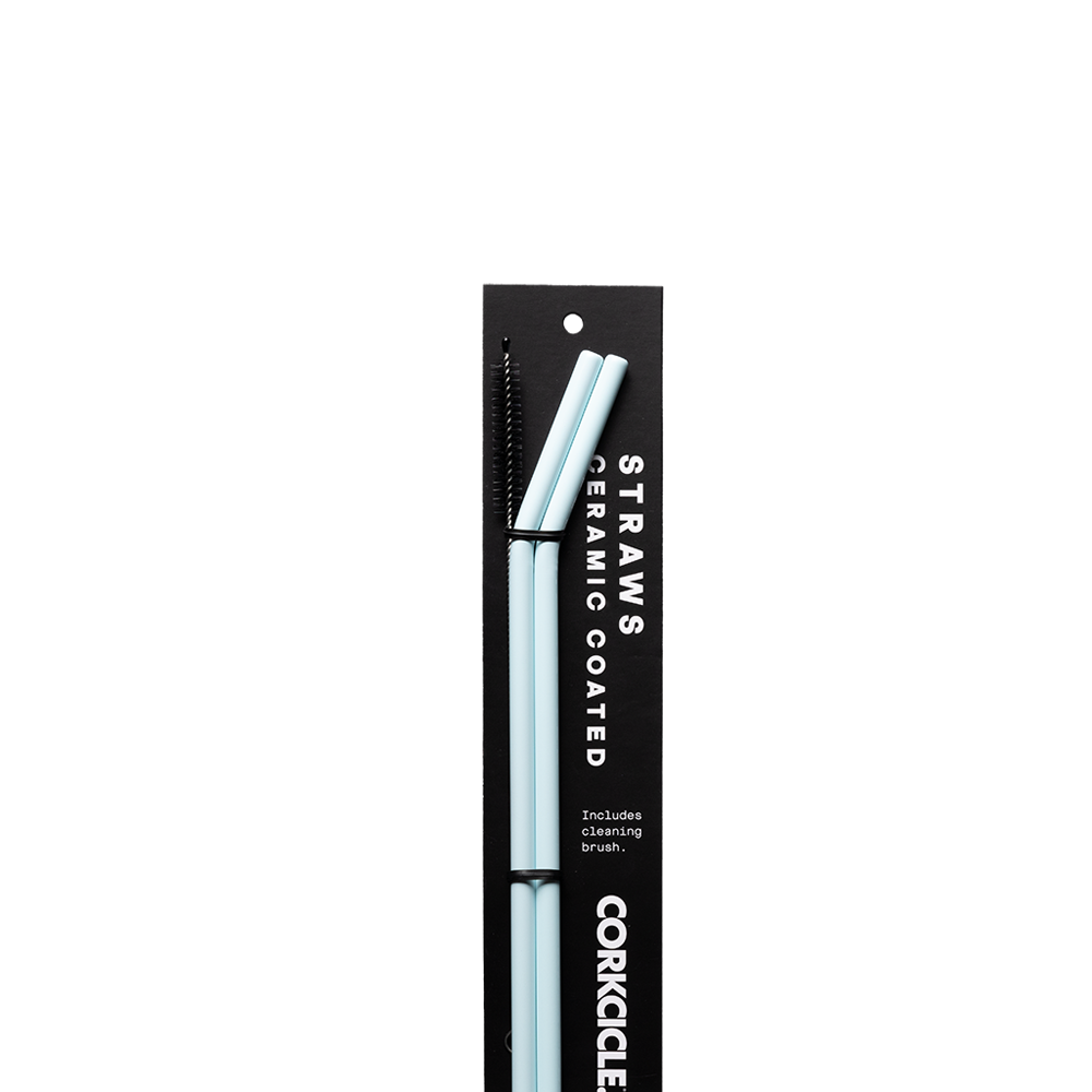 Ceramic Coated Straw Set - Easy Modern Ready Fit